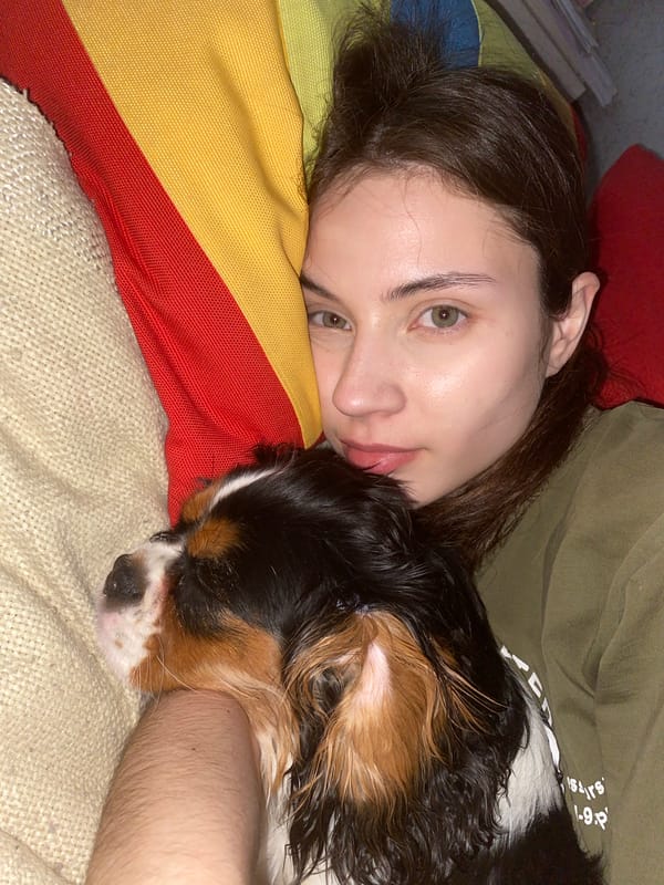 Quiet morning moments with pets documented in Votkinsk home