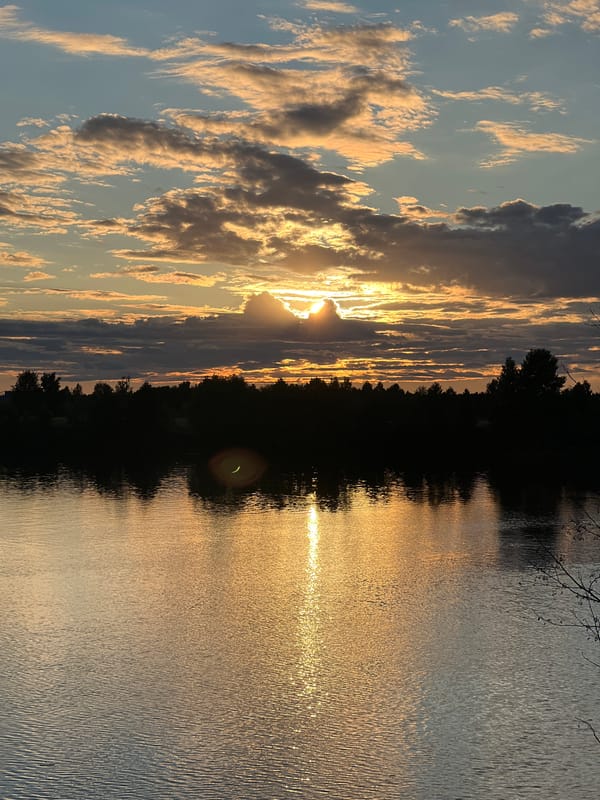 Golden hour along the Volga in Dubna's riverside park