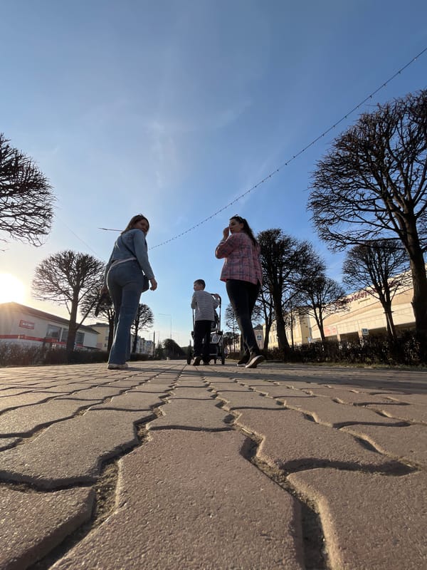 Lenin statue area documented by witnesses in Zelenogorsk