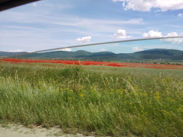 Rural road journey through countryside captured by multiple witnesses