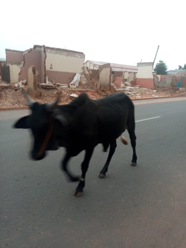 Urban street life documented in unidentified neighborhood