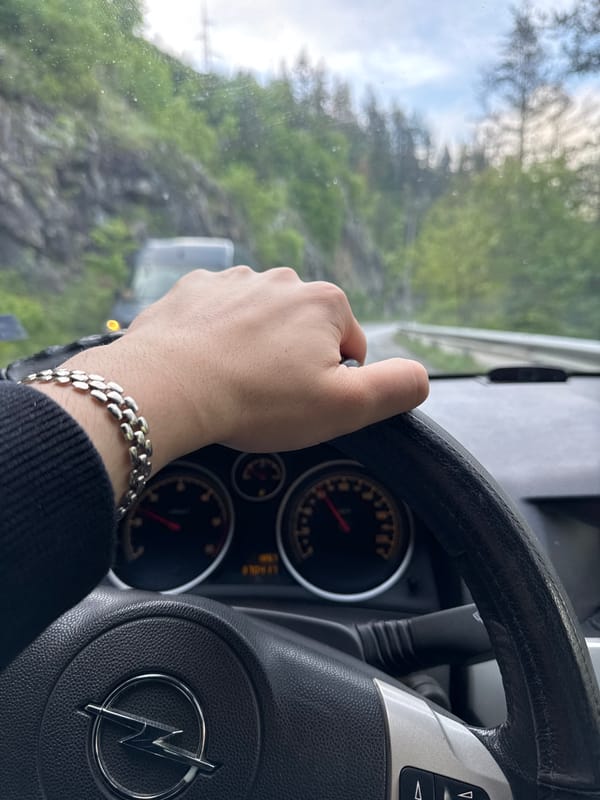 Early morning drive through Bulgarian forest roads near Taran