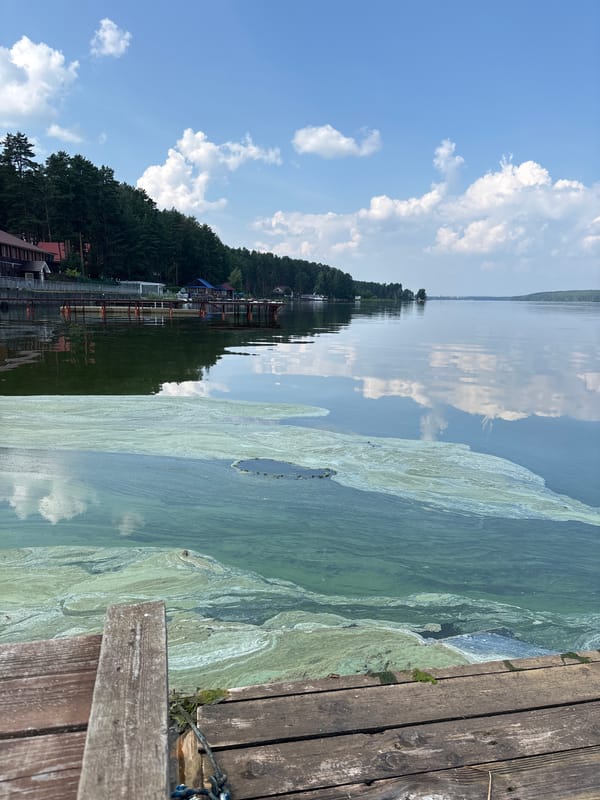 Lazy summer morning on a dock at a Russian lake