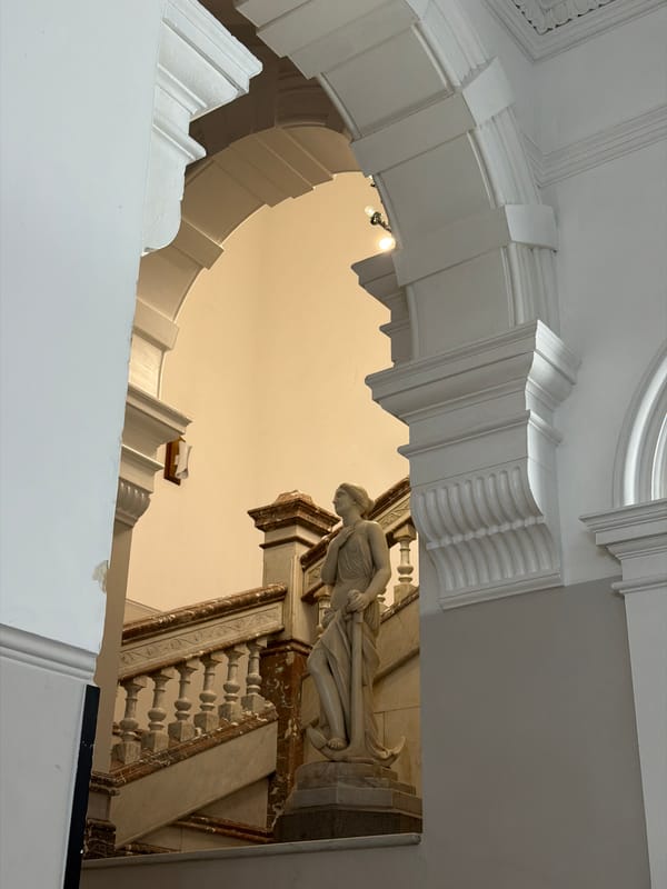 Gallery visitors document ornate architecture at Cape Town museum