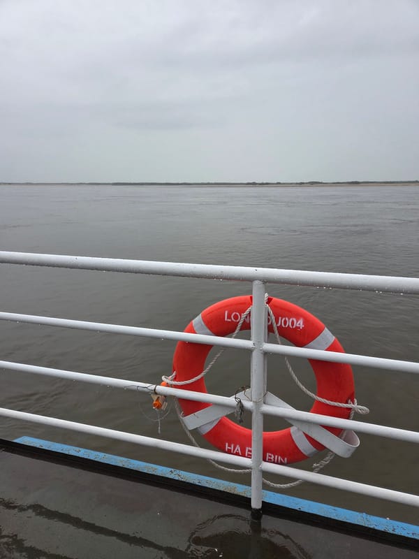 Ferry passengers document rainy crossing with vehicles in China