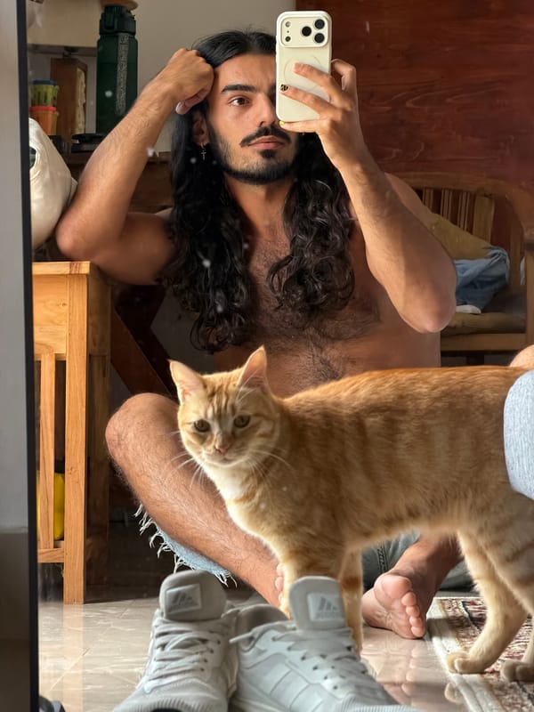 Selfies and an orange tabby cat at home in Bali