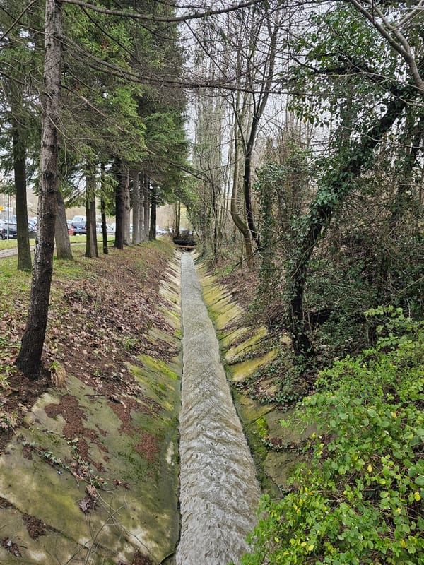 Drainage canal flows through wooded area in Gabrovo