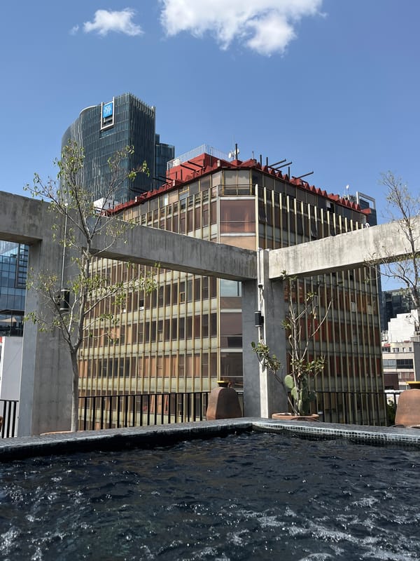 Rooftop terrace scenes captured across Mexico City evening