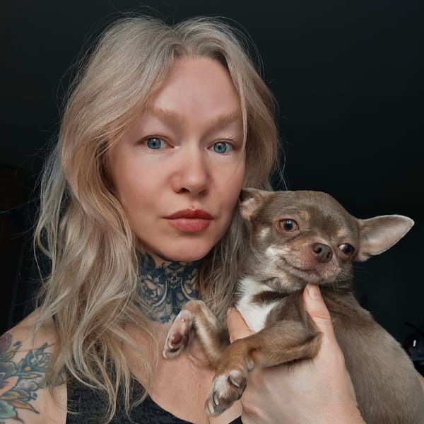 Morning domestic scenes with pets captured across Saint Petersburg