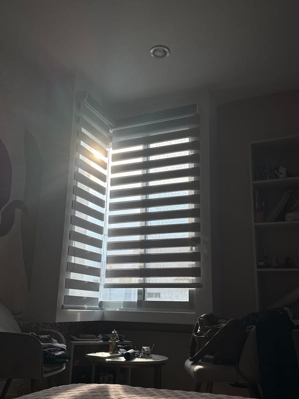 Table scene with plant and donut object photographed in Mexico