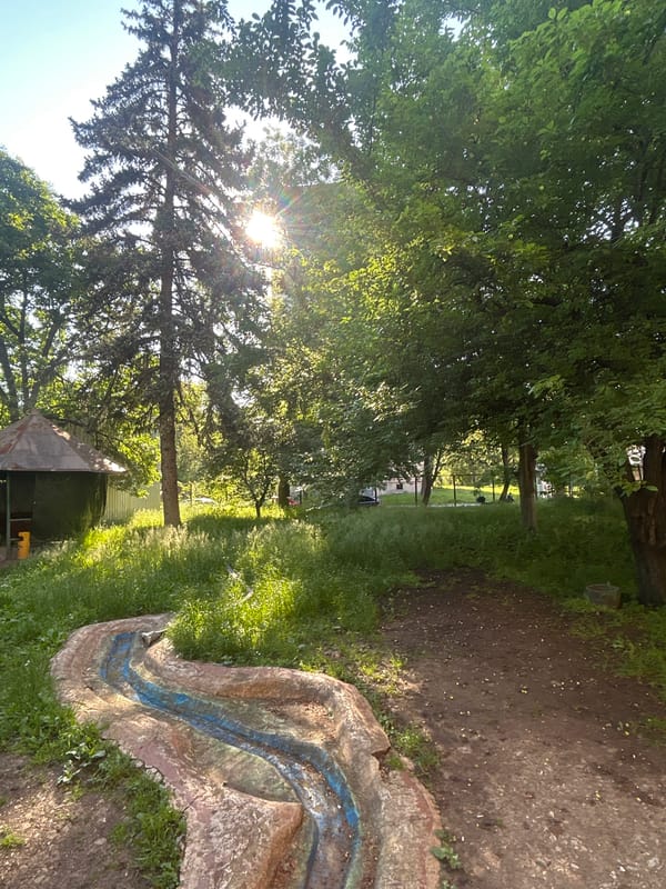 Urban scenes and park observations documented across 90 minutes
