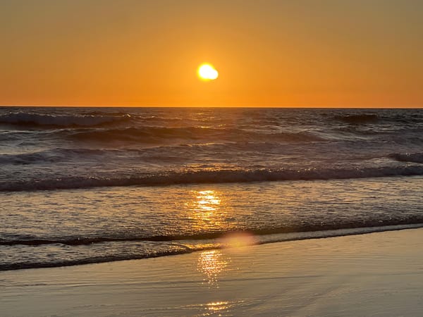 Golden hour on a Conil de la Frontera beach with dogs and waves