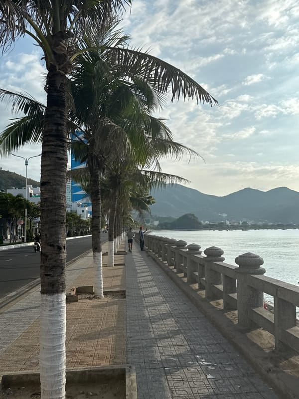 Evening walk along Nha Trang's palm-lined coastal promenade