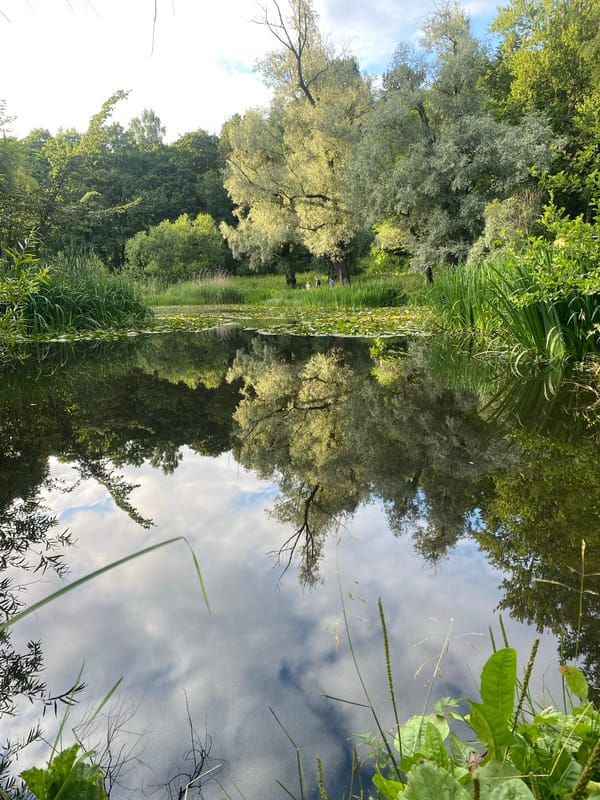 Calm canal and green canopy in a Saint Petersburg park