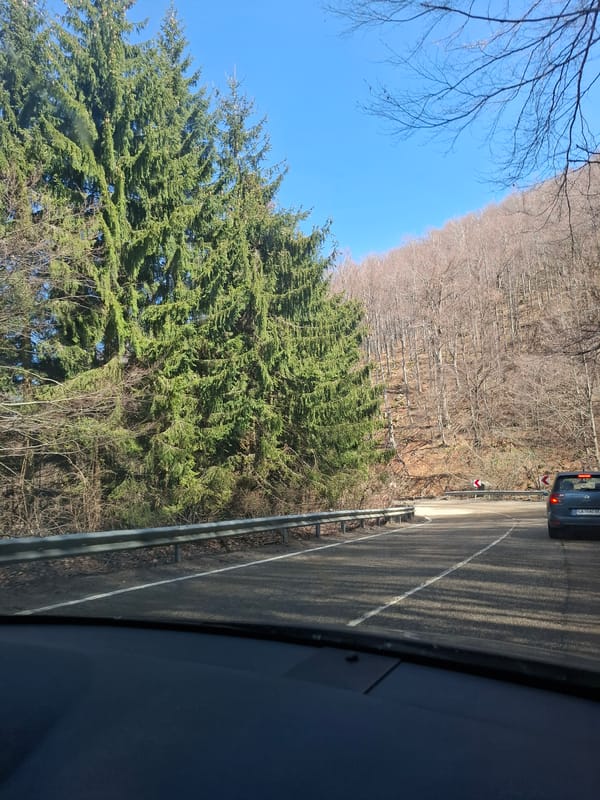 Vehicle Journey Through Bulgarian Mountains Near Barziya Documented
