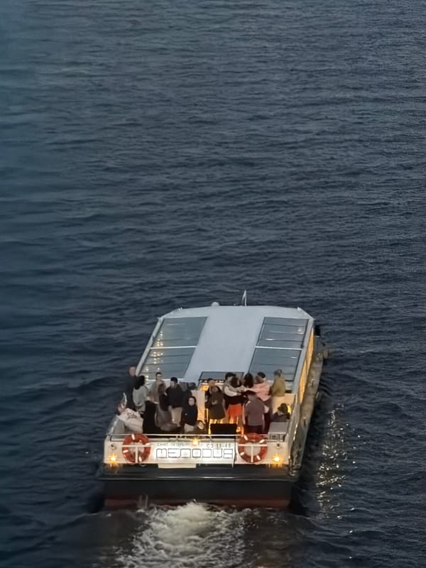 Evening cruise on the Neva, passing Saint Petersburg's cable-stayed bridge