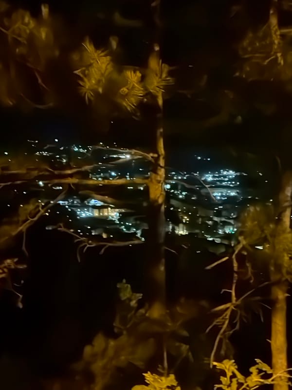 Nighttime cityscape observed from elevated hillside position