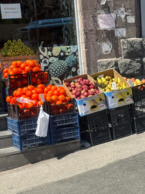 Street vendor and commercial interiors observed in Yerevan