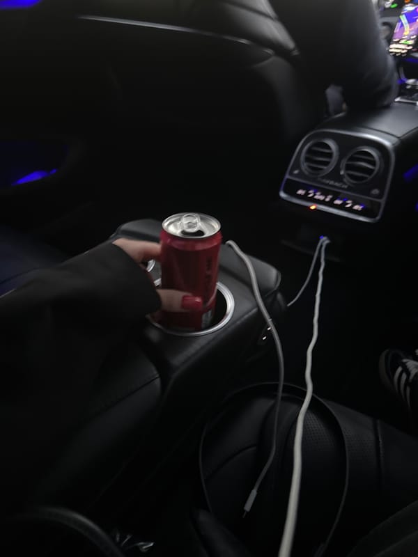 Evening drive across a bridge, red can in hand