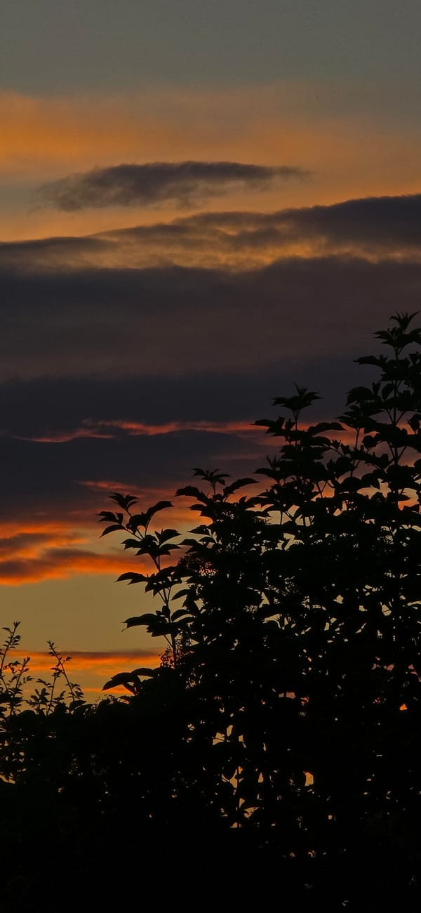 Vivid sunset sky caught from two angles, clouds and color.