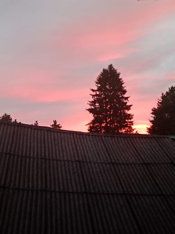 Vivid sunset sky over Sokolinskoye, Russia