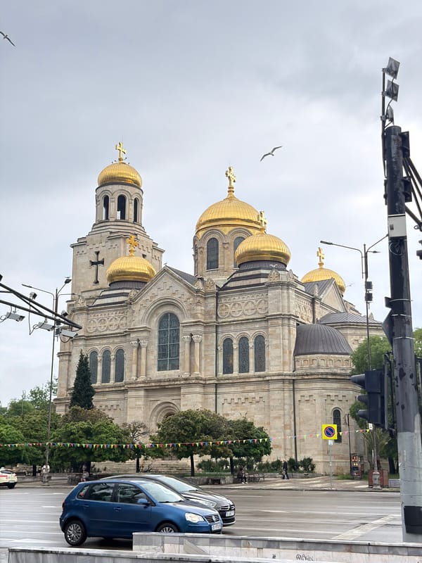 Early morning view of Varna cathedral with seagull overhead