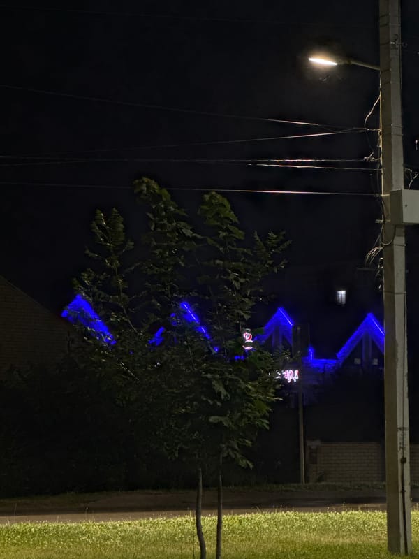 Red roses at night, neon rooflines and streetlamp wires nearby.