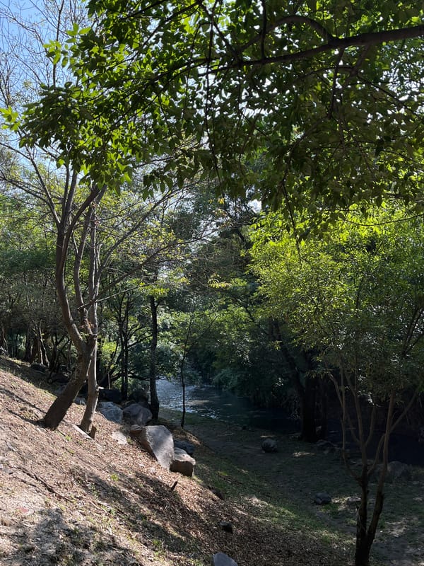 Water canal observed along Paseo del Teleférico in Puebla