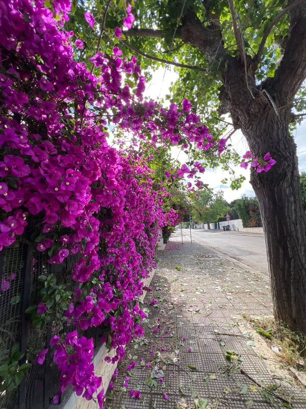 Morning routine documented through Bari streets and home interiors