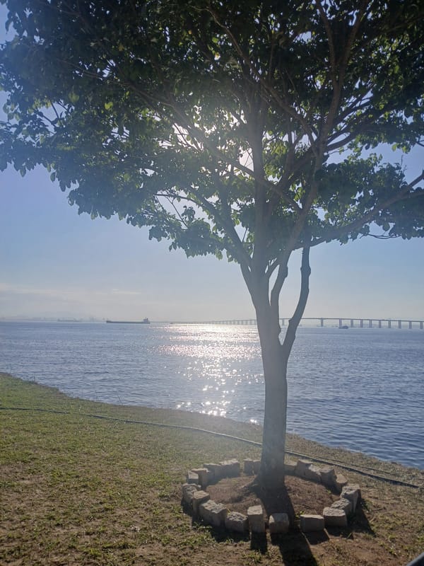 Niterói waterfront: statues, trees, and bay views