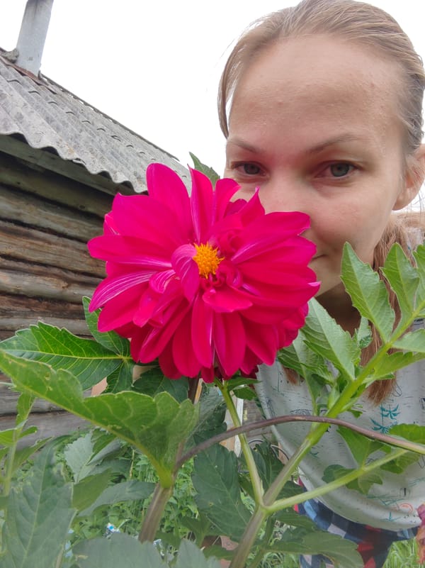 Flower photography and rural skies in Chukhloma on an overcast morning