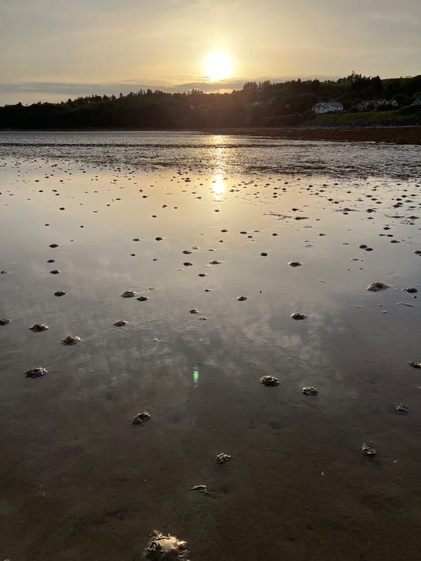 Golden-hour low tide at Mountcharles shore, Ireland