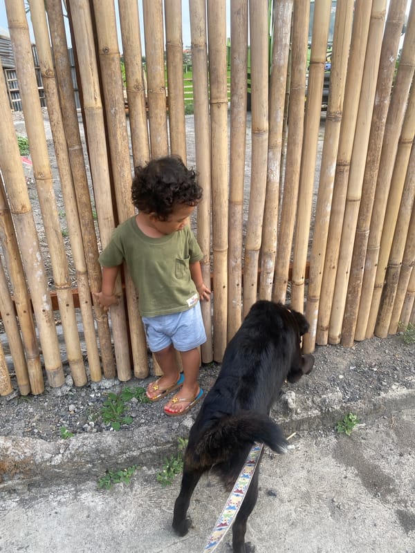 Morning dog walk along a cobblestone path in North Kuta
