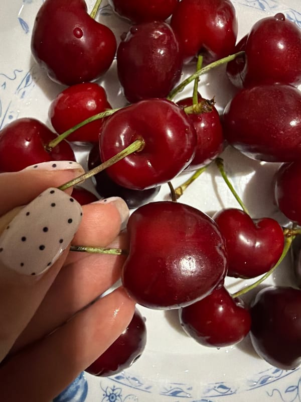 Cherries and golden cocker spaniel captured in evening documentation