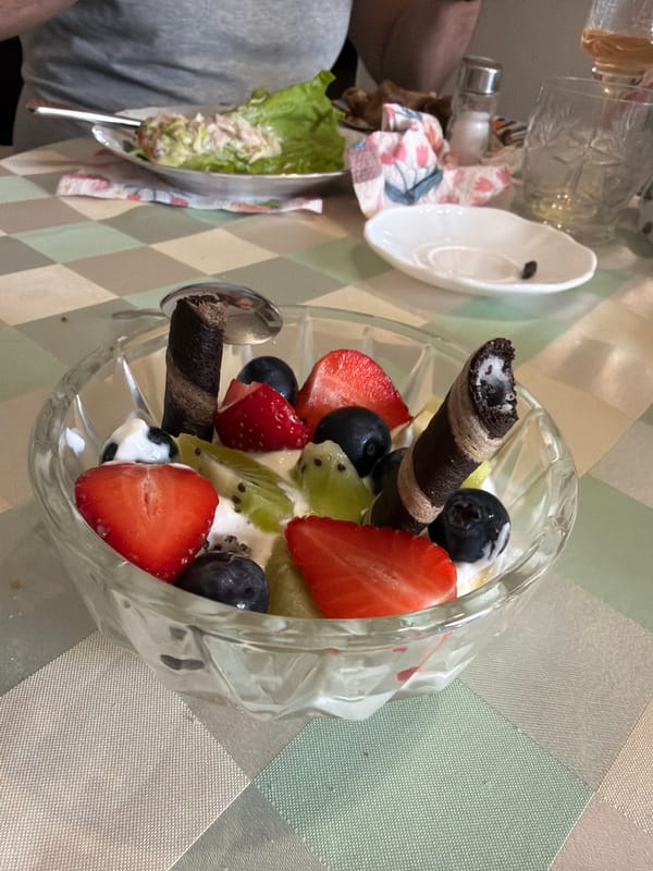 Fruit dessert enjoyed in Gabrovo café morning