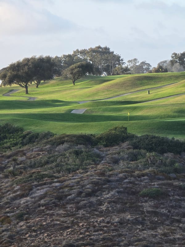 Golden hour coastal scenes captured around Torrey Pines, San Diego