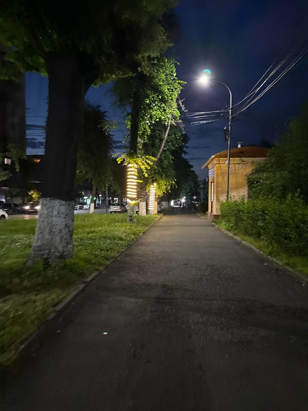 Evening along a tree-lined street in Vladikavkaz