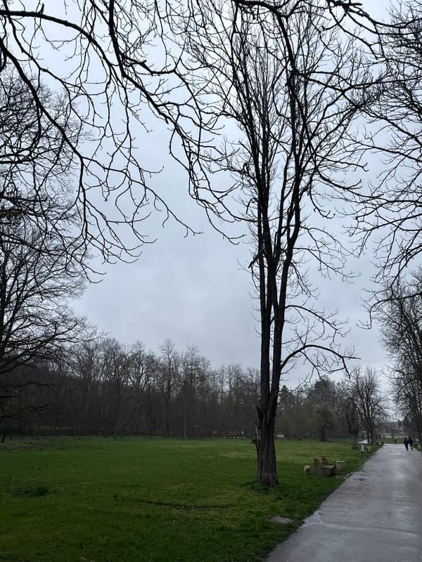 Rainy day walk with dogs at Kaylaka Park, Bulgaria