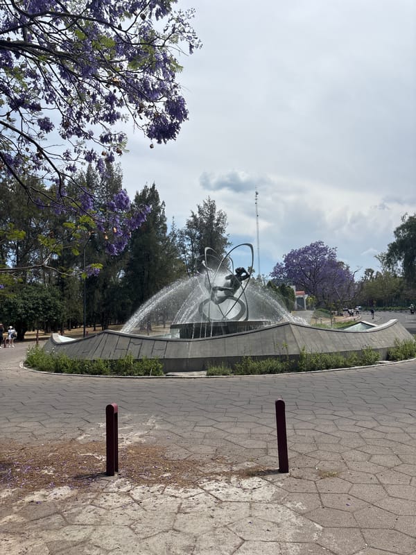 Orbital sculpture fountain spotted amid purple-flowered trees in Mexico City