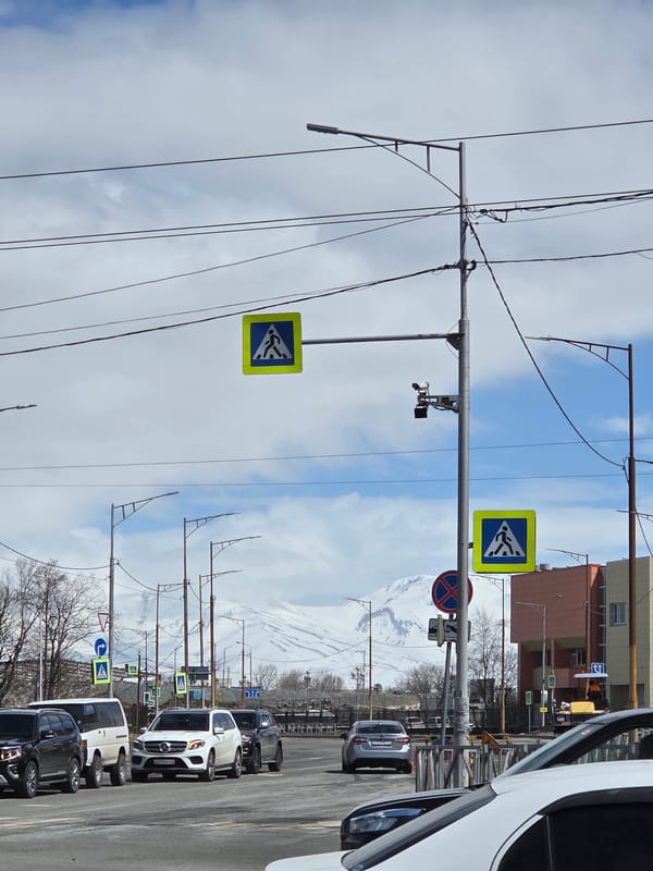 Urban street scenes documented in mountain-backdrop city, dog spotted