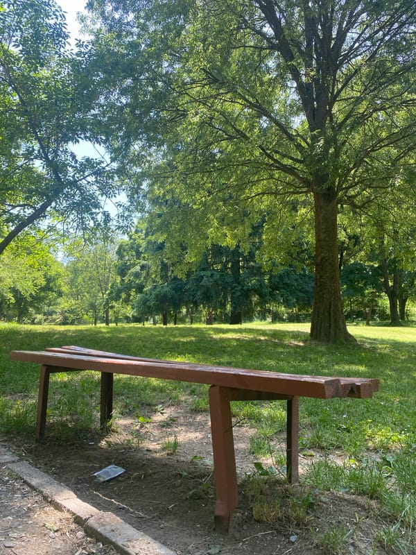 Morning park scenes documented in Blagoevgrad, Bulgaria