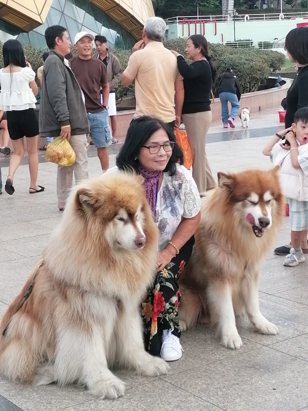 Casual morning at Da Lat's lakeside plaza with horses and crowds