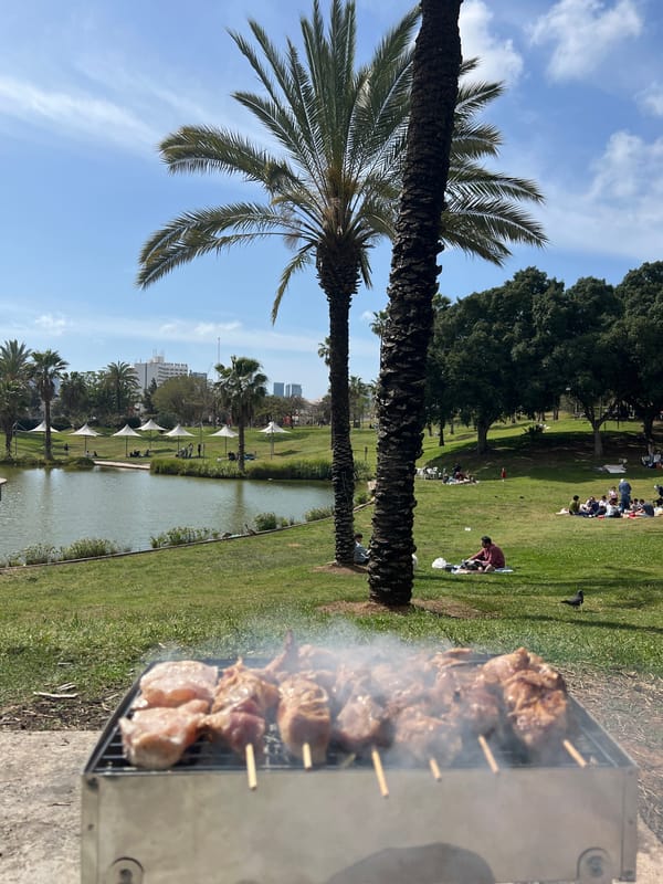 Park barbecue gathering documented in Tel Aviv