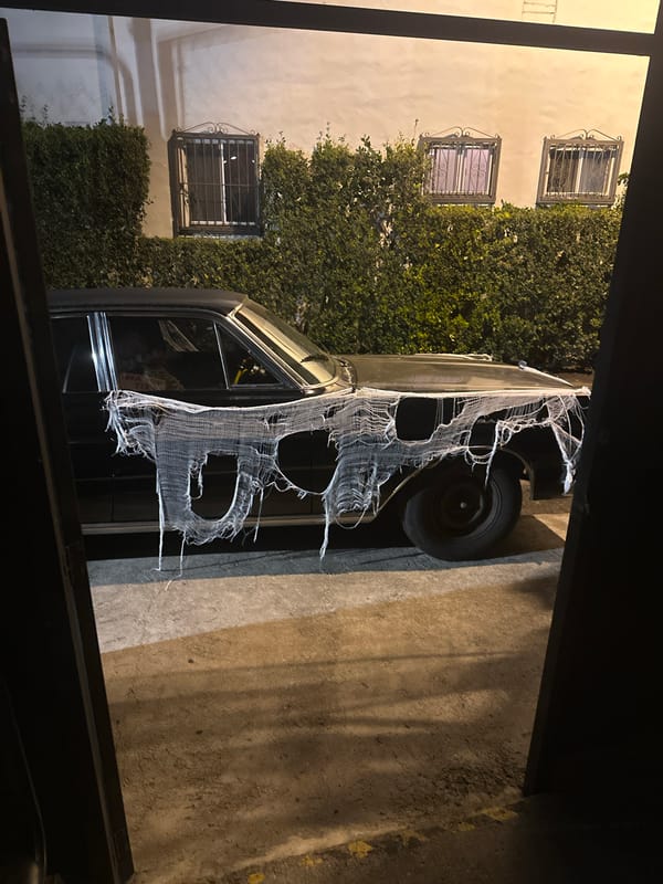 Vehicle covered in web-like fabric photographed in Los Angeles