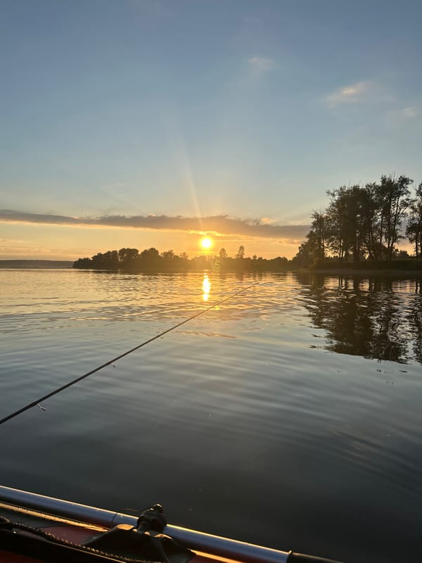 Catfish caught from inflatable boat at sunset, Ol'khovskoye