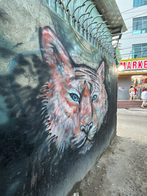 Tiger mural spotted on concrete surface in Vietnam