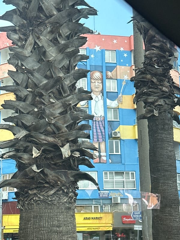 Building mural featuring child spotted in Ortaca, Turkey