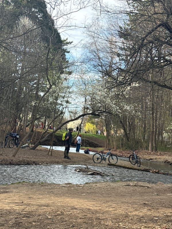 Spring park scene documented in Sofia with stream and path