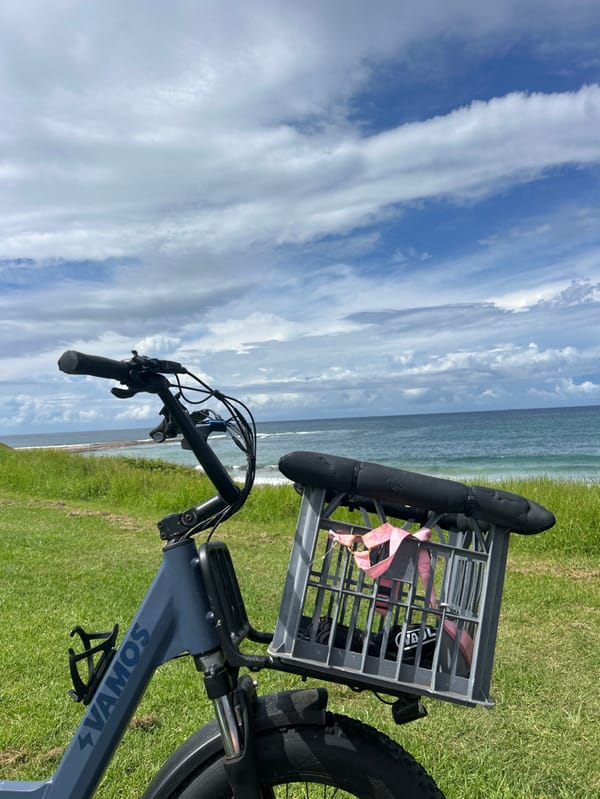 Early morning visit documented at Bulli Beach, Australia