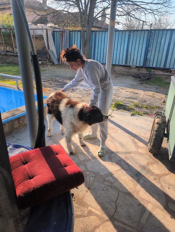 Woman pets dog in early morning scene in Tyurkmen